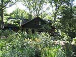 rear garden overview 